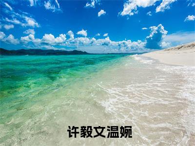 （沉睡五十年，醒来儿子都成大佬了？小说免费阅读） 许毅文温婉全文免费阅读无弹窗大结局-沉睡五十年，醒来儿子都成大佬了？全文免费版阅读