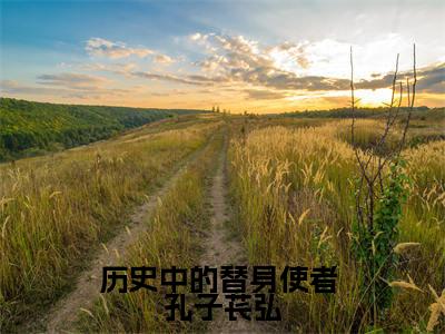 （历史中的替身使者）全文免费阅读无弹窗大结局_（ 孔子苌弘阅读无弹窗）历史中的替身使者最新章节列表_笔趣阁