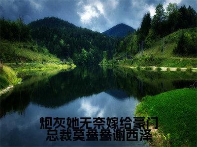 炮灰她无奈嫁给豪门总裁莫鸯鸯谢西泽（ 莫鸯鸯谢西泽)全文免费阅读无弹窗大结局_炮灰她无奈嫁给豪门总裁莫鸯鸯谢西泽全文完整无删减版免费阅读（ 莫鸯鸯谢西泽）