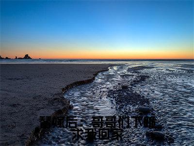 替嫁后:哥哥们下跪求我回家(洛西凌秋寒)抖音热推小说全集无删减,洛西凌秋寒小说在线免费阅读大结局