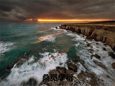 桑觅季衍最新章节(季衍桑觅)全文免费阅读无弹窗大结局_桑觅季衍免费阅读(季衍桑觅)
