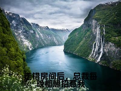 陆明月晏承之全文免费阅读大结局-走错房间后，总裁每晚都想招惹我完整版无弹窗