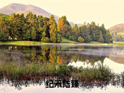 纪禾陆臻(陆臻纪禾)小说全文免费读无弹窗大结局_纪禾陆臻小说章节试读最新章节列表笔趣阁