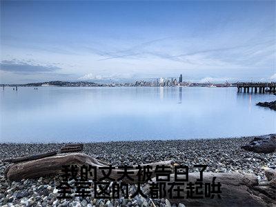 小说《我的丈夫被告白了,全军区的人都在起哄》全文免费阅读无弹窗-我的丈夫被告白了,全军区的人都在起哄(沈嘉鱼顾京彰)小说全文在线赏析_笔趣阁