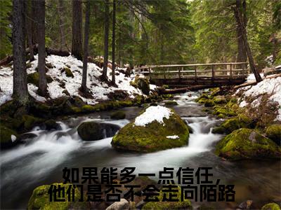 如果能多一点信任,他们是否不会走向陌路是什么小说,如果能多一点信任,他们是否不会走向陌路(林姣媛颜江辰)完整章节在线阅读