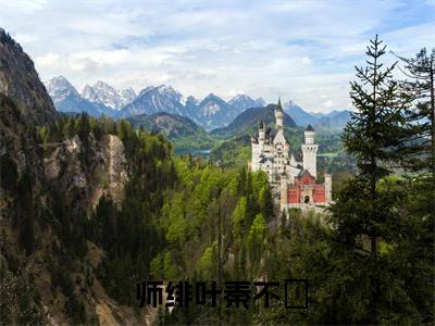  师绯叶秦不俍（穿成霸总妻，我炮灰碾压女主角！）小说全文免费阅读正版无弹窗 穿成霸总妻，我炮灰碾压女主角！全文无弹窗阅读