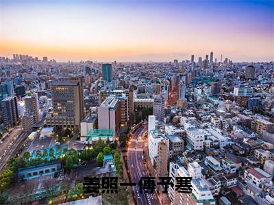 傅予寒姜照一小说（姜照一傅予寒）全文免费阅读无弹窗大结局_姜照一傅予寒小说最新章节列表_笔趣阁（傅予寒姜照一）