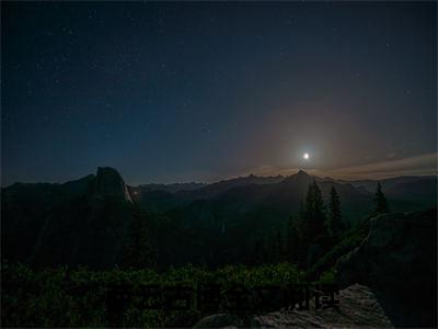  萨云古博全集小说（星际雇佣兵）全文免费阅读无弹窗大结局_星际雇佣兵最新章节列表_笔趣阁（ 萨云古博）