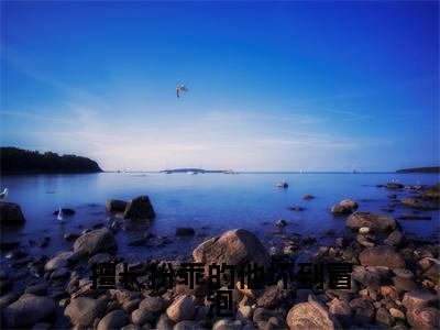 擅长扮乖的他坏到冒泡(沈烬苏夏禾)全文免费阅读无弹窗大结局_(沈烬苏夏禾全文免费)擅长扮乖的他坏到冒泡最新章节列表(沈烬苏夏禾)