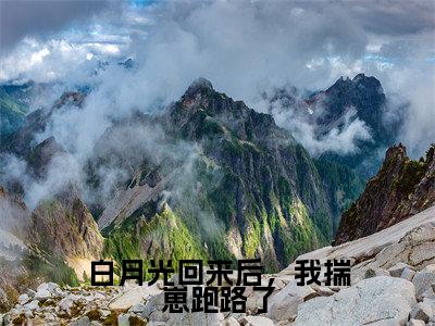 白月光回来后，我揣崽跑路了高甜小说最新章节-安昕容绍聿全文阅读