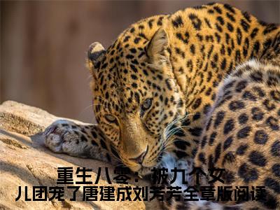 主角是 唐建成刘芳芳的小说叫什么名字 重生八零：被九个女儿团宠了唐建成刘芳芳全章版阅读精彩结局阅读