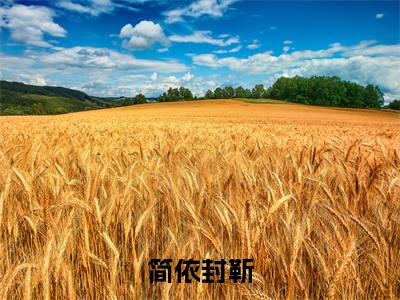 封靳简依（简依封靳）全文免费阅读_（简依封靳）封靳简依最新章节小说免费阅读_笔趣阁（简依封靳）