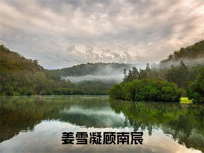 【新书】姜雪凝顾南宸全文全章节免费阅读-顾南宸姜雪凝 全文免费阅读无弹窗大结局