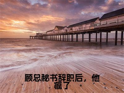 叶星辞顾凛寒（顾总秘书辞职后，他疯了）小说全文免费阅读-叶星辞顾凛寒免费阅读完整版