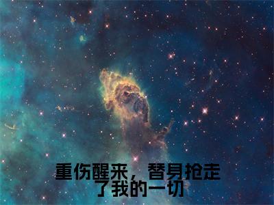重伤醒来,替身抢走了我的一切小说全文免费阅读_玄迟沈云夭(玄迟沈云夭)最新章节列表笔趣阁