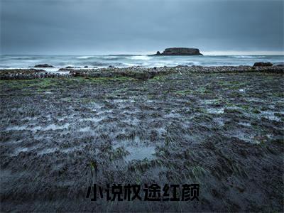 权途红颜抖音新上免费热文  秦天明白薇完结免费阅读无弹窗