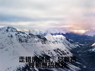 走错房间后,总裁每晚都想招惹我(陆明月晏承之)小说全文免费阅读-走错房间后,总裁每晚都想招惹我(陆明月晏承之)小说免费版最新更新阅读