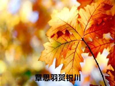 章思羽贺锐川贺锐川章思羽小说-章思羽贺锐川小说全文免费阅读