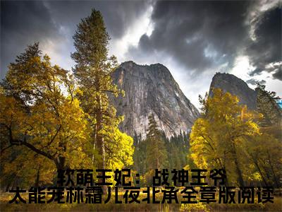 软萌王妃：战神王爷太能宠林霜儿夜北承全章版阅读（ 林霜儿夜北承小说）全文免费阅读无弹窗大结局_软萌王妃：战神王爷太能宠林霜儿夜北承全章版阅读小说 林霜儿夜北承列表_笔趣阁( 林霜儿夜北承小说）