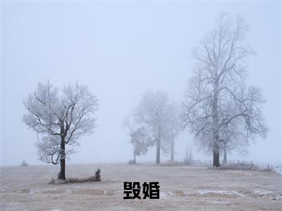 沈知舟叶繁（毁婚）全文免费阅读无弹窗大结局_毁婚最新章节列表_笔趣阁（沈知舟叶繁）