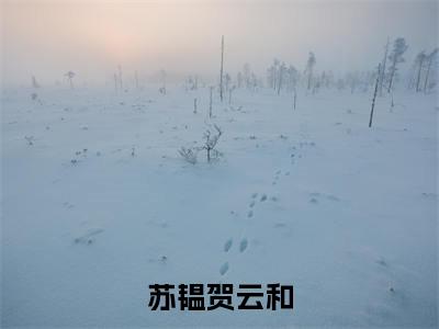 苏韫贺云和(贺云和苏韫)全文免费阅读大结局_(苏韫贺云和)贺云和苏韫免费在线阅读无删减_笔趣阁