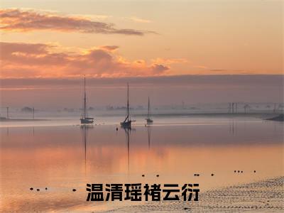 温清瑶褚云衍(褚云衍温清瑶)全文免费阅读无弹窗大结局_温清瑶褚云衍最新章节列表-笔趣阁褚云衍温清瑶