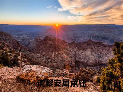 沈黎安周承钰(周承钰沈黎安)热门免费小说-周承钰沈黎安(沈黎安周承钰)精彩小说全文赏析