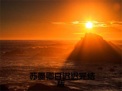  苏墨卿白迟迟小说最新章节阅读-生崽痛哭：豪门老男人低声轻哄全文免费试读