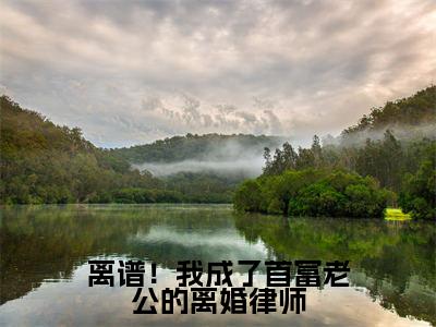 离谱!我成了首富老公的离婚律师(陆辛夷司烨)小说全文无删减版_离谱!我成了首富老公的离婚律师最新章节列表_笔趣阁(陆辛夷司烨)