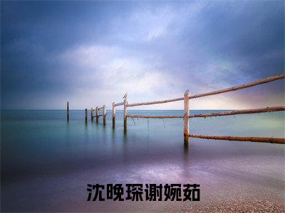 谢婉茹沈晚琛热门小说在哪免费看-小说沈晚琛谢婉茹（谢婉茹沈晚琛）完整版全文在线赏析