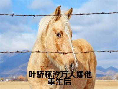 万人嫌他重生后，不对劲了（ 叶骄林汐）小说最新章节-小说万人嫌他重生后，不对劲了（ 叶骄林汐）完整版全文在线赏析