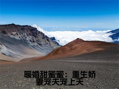 暖婚甜蜜蜜：重生娇妻宠夫宠上天(夜卿宸姜意云)小说全文免费阅读无弹窗大结局_暖婚甜蜜蜜：重生娇妻宠夫宠上天小说免费阅读最新章节列表笔趣阁（夜卿宸姜意云）