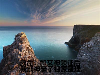 小说救命！和女神领证后我成神豪了完整版在线阅读  洛冰凝林天精选小说推荐试读
