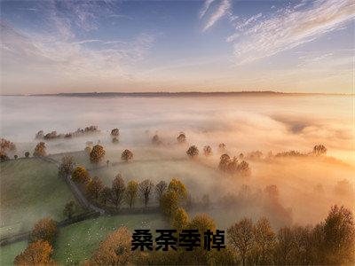 桑荼季棹全文免费在线阅读_(桑荼季棹免费阅读无弹窗)季棹桑荼全文免费完结版阅读(桑荼季棹)