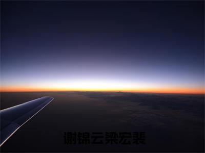 重生落寞侯府，她冷眼一笑嫁反派小说全文( 谢锦云梁宏裴)免费阅读全文无弹窗大结局_  谢锦云梁宏裴免费阅读无弹窗小说_笔趣阁