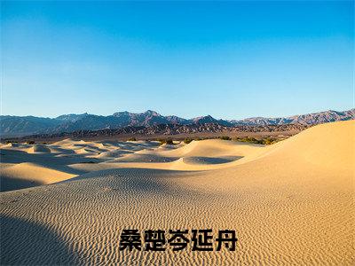 岑延舟桑楚（桑楚岑延舟）最新免费小说（岑延舟桑楚）全文大结局-桑楚岑延舟今日已更新最新章节