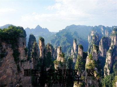 重生七零嫁糙汉，退伍老公超能干小说好看吗-重生七零嫁糙汉，退伍老公超能干余酒徐子将热门小说大结局阅读