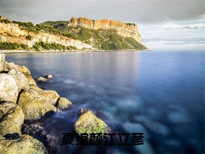 夏绾颜江立彦全文免费阅读大结局-(江立彦夏绾颜)最新章节列表在线阅读
