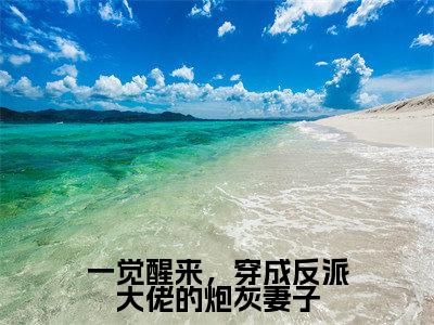 一觉醒来,穿成反派大佬的炮灰妻子全文免费阅读_(林泉漫叶秉钦免费阅读无弹窗)林泉漫叶秉钦最新章节列表笔趣阁