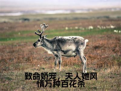 致命娇宠,夫人她风情万种百花杀(夜听寒南希小说)全文免费阅读无弹窗大结局_致命娇宠,夫人她风情万种百花杀最新章节列表_笔趣阁(夜听寒南希小说)