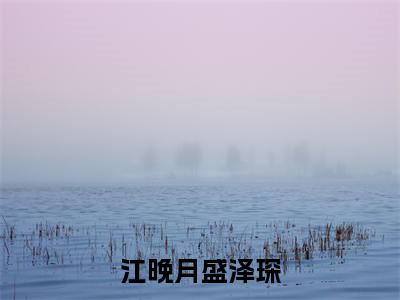 江晚月盛泽琛（盛泽琛江晚月）全文免费阅读无弹窗大结局_江晚月盛泽琛全文免费阅读_笔趣阁