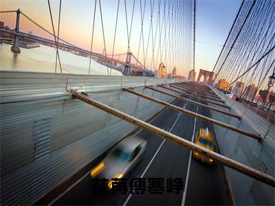 （傅寒峥林苒）全文免费阅读无弹窗大结局 林苒傅寒峥免费阅读最新章节精彩免费阅读_笔趣阁