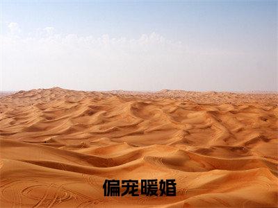 偏宠暖婚小说全文免费阅读苏澜周司爵免费完整版阅读