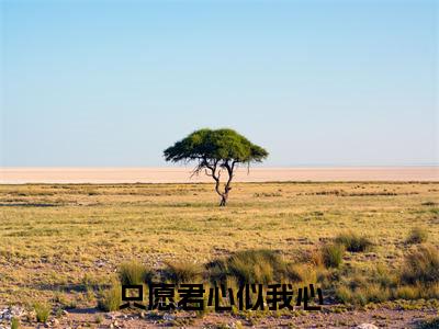 只愿君心似我心小说月惜灏璟-只愿君心似我心小说在哪里可以看