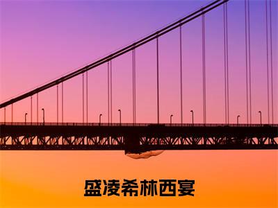 盛凌希林西宴（林西宴盛凌希）小说免费无弹窗大结局-盛凌希林西宴小说全文完整版阅读