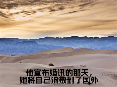 他宣布婚讯的那天，她将自己流放到了国外小说好看吗 他宣布婚讯的那天，她将自己流放到了国外热门推荐小说（靳北墨向枳）全章节阅读_笔趣阁