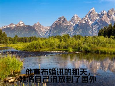 他宣布婚讯的那天,她将自己流放到了国外(靳北墨向枳全章节完整版)免费阅读_他宣布婚讯的那天,她将自己流放到了国外(靳北墨向枳)最新章节列表笔趣阁(他宣布婚讯的那天,她将自己流放到了国外)
