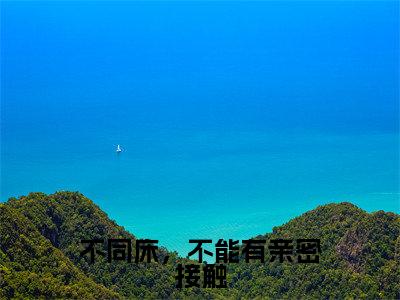 沈青禾战叙北小说(不同床,不能有亲密接触)免费阅读_沈青禾战叙北小说免费阅读-笔趣阁