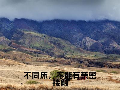不同床，不能有亲密接触高甜小说最新章节-沈青禾战叙北全文阅读
