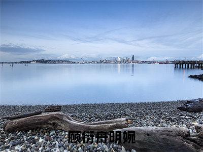 明婉顾衍舟(顾衍舟明婉)全文免费阅读无弹窗大结局_顾衍舟明婉小说最新章节列表_笔趣阁(明婉顾衍舟)